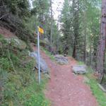 auf der anderen Seite des Baches steht ein bisschen verborgen im Wald wieder ein Wegweiser