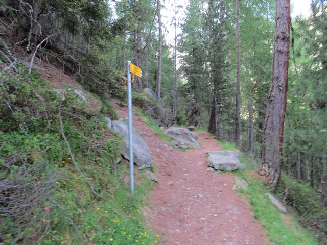 auf der anderen Seite des Baches steht ein bisschen verborgen im Wald wieder ein Wegweiser