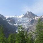 Blick hinauf zum Riedgletscher. Unsere Wanderung wird uns dort hinauf führen