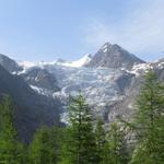 Blick hinauf zum Riedgletscher. Unsere Wanderung wird uns dort hinauf führen