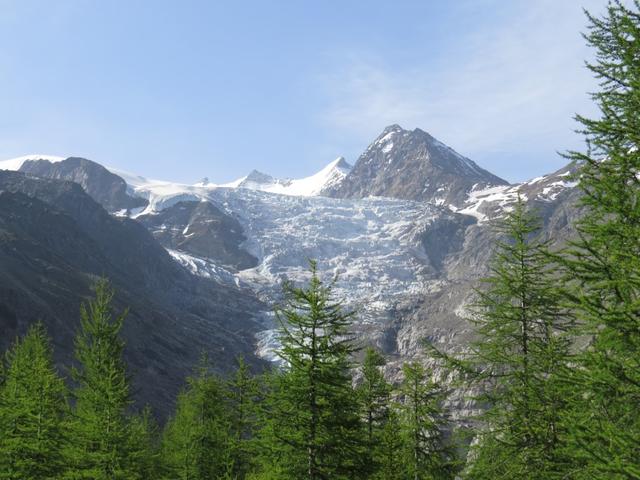 Blick hinauf zum Riedgletscher. Unsere Wanderung wird uns dort hinauf führen