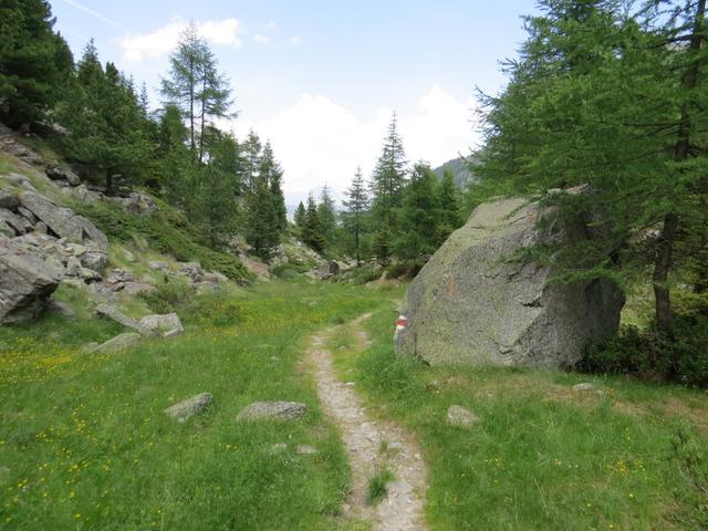 bei der Wegkreuzung auf Punkt 2055 m.ü.M., biegen wir links ab Richtung Schalbettu