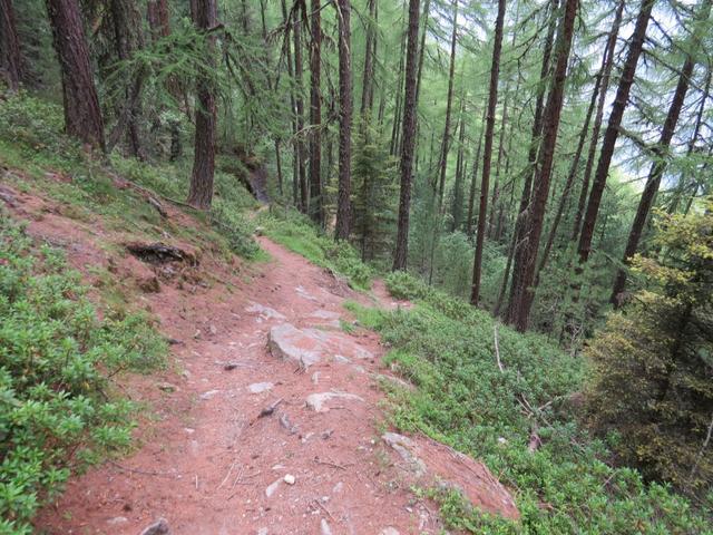 der Waldweg führt uns weiter steil abwärts Richtung Schalbettu