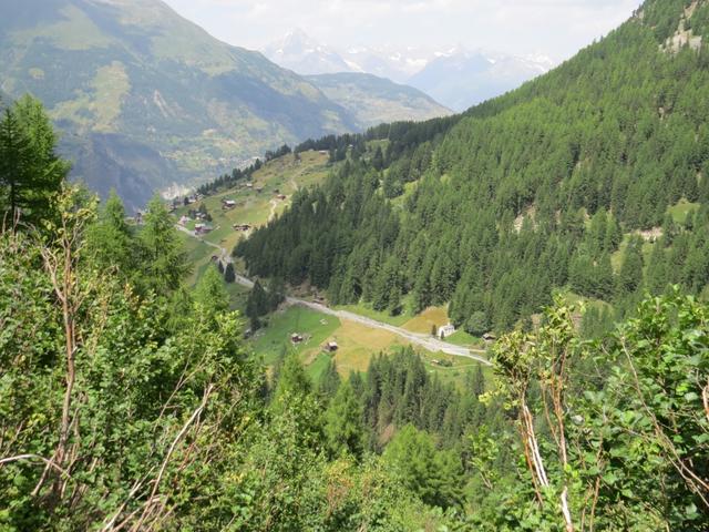 Blick auf Schalbettu und Gasenried