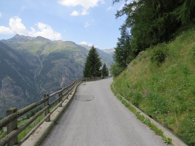 über eine Asphaltstrasse geht es nach Gasenried