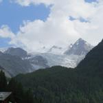 Blick hinauf zum Riedgletscher