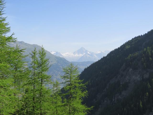 von der Brücke aus, können wir einen schönen Blick auf das Bietschhorn werfen