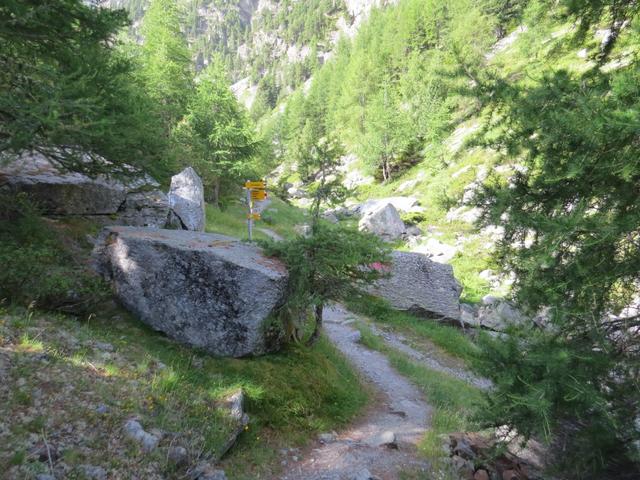 bei der Weggabelung Punkt 2055 m.ü.M.