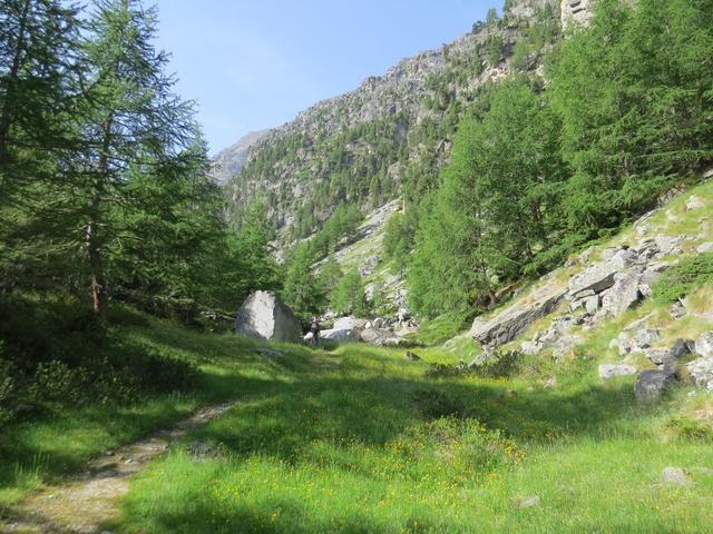 von der Weggabelung bei Punkt 2055 m.ü.M. geht es weiter Richtung Alpja