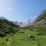 auf Alpja mit Blick auf den Riedgletscher und das Dirruhorn