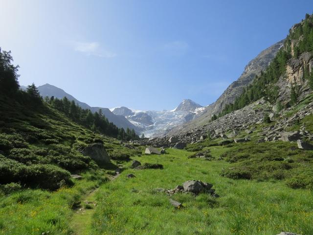 auf Alpja mit Blick auf den Riedgletscher und das Dirruhorn