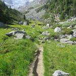 über einen einfachen Wanderweg, überqueren wir die Alpweiden von Alpja