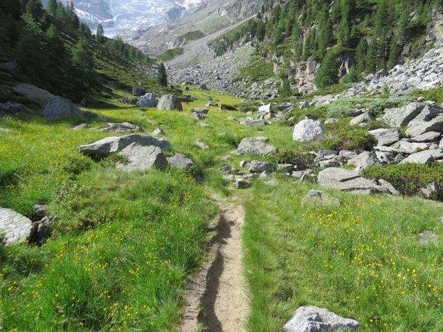 über einen einfachen Wanderweg, überqueren wir die Alpweiden von Alpja