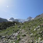 der Bergweg wird nun merklich steiler