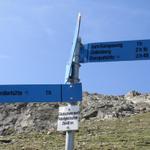 Wegweiser bei der Weggabelung Gletscherrand Riedgletscher 2640 m.ü.M.