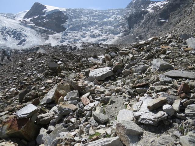 über Geröll und Schutt erreichen wir den Riedgletscher