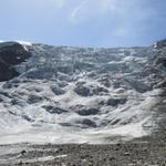 was für eine traumhafte Aussicht auf den Riedgletscher