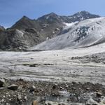 der Weg über den Riedgletscher ist mit Eisenstangen gut markiert