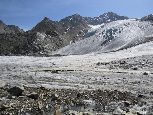 der Weg über den Riedgletscher ist mit Eisenstangen gut markiert