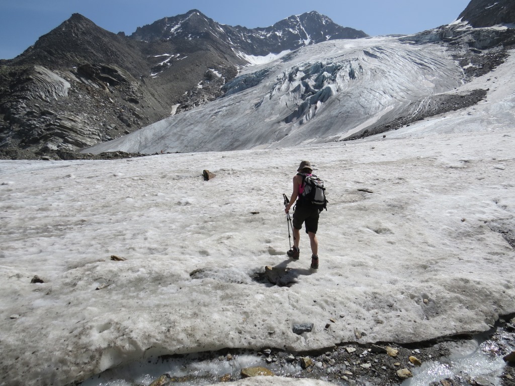 mit sicherem Schritt, überquert meine Maus den Riedgletscher