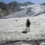 mit sicherem Schritt, überquert meine Maus den Riedgletscher