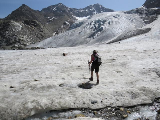 mit sicherem Schritt, überquert meine Maus den Riedgletscher