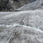 kleine Gletscherbäche durchqueren unseren Weg