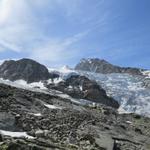 Blick auf den Riedgletscher