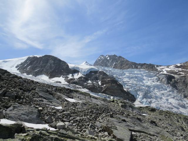 Blick auf den Riedgletscher