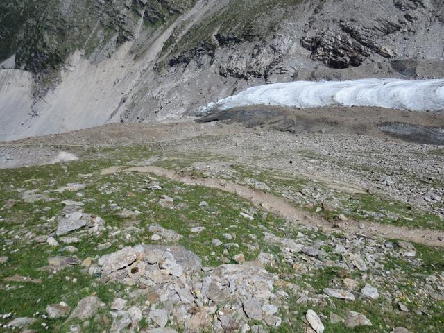 bei Punkt 2551 m.ü.M. mit Blick auf die Zunge des Riedgletschers