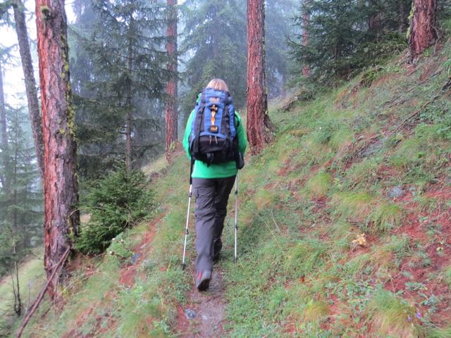 die Wanderung kann beginnen