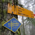 wir befinden uns nun auf dem Europaweg, der Grächen (mit Unterbrüchen) mit Zermatt verbindet