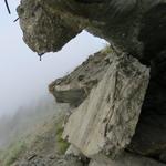 wie man aber sieht, würde es auch nicht nützen den Kopf in Sicherheit zu halten