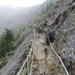 der Europaweg und gleichzeitig Hüttenweg, führt uns nun in das steile Wildikintal