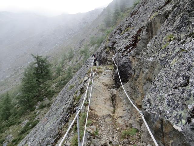 der Europaweg und gleichzeitig Hüttenweg, führt uns nun in das steile Wildikintal