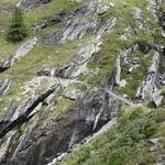 Blick auf die Brücke die den Wildibach überspannt