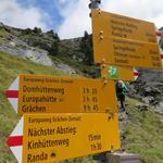 direkt nach der Brücke erreichen wir die Weggabelung bei Wildikin 2228 m.ü.M.