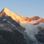 das Weisshorn einfach gewaltig schön