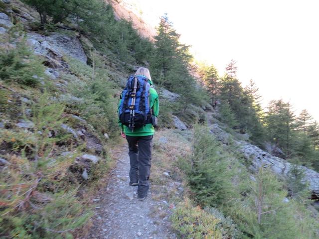 wir verlassen nun die Schlucht bei Wildikin und laufen Richtung Täschalp