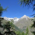 und immer wieder so eine prachtvolle Aussicht. Zinalrothorn und Weisshorn