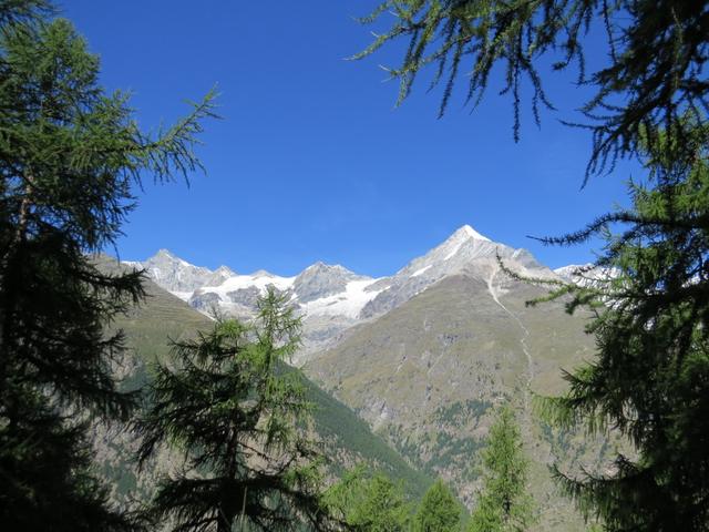 und immer wieder so eine prachtvolle Aussicht. Zinalrothorn und Weisshorn