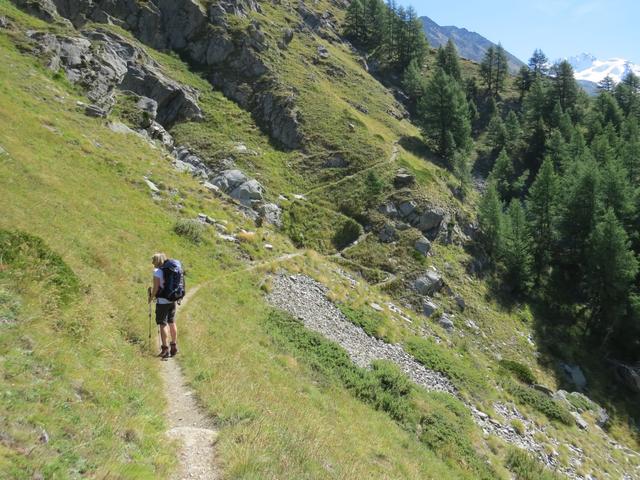 auf der orographisch rechten Seite des Täschbach, führt der schöne Höhenweg uns weiter Richtung Ottafe
