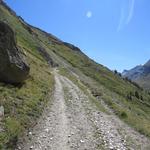 eine breite Alpstrasse führt einem über die steilen Alpweiden von Arb aufwärts