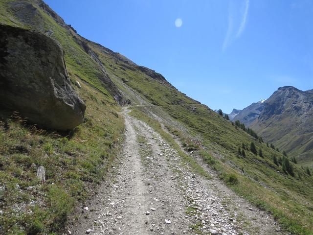 eine breite Alpstrasse führt einem über die steilen Alpweiden von Arb aufwärts