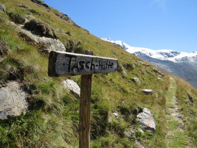 bald stehen wir auf der Terrasse der Täschhütte