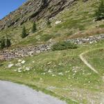 wir haben die Weggabelung bei Punkt 2156 m.ü.M. erreicht