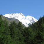 letzter Blick zurück auf den Rimpfischhorn