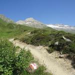 nach dem überqueren des Chelchbaches, wird der Wanderweg steiler