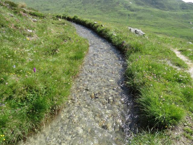 wir überqueren die Nessjeri Suone. Hier werden wir auf dem Rückweg wieder vorbeilaufen