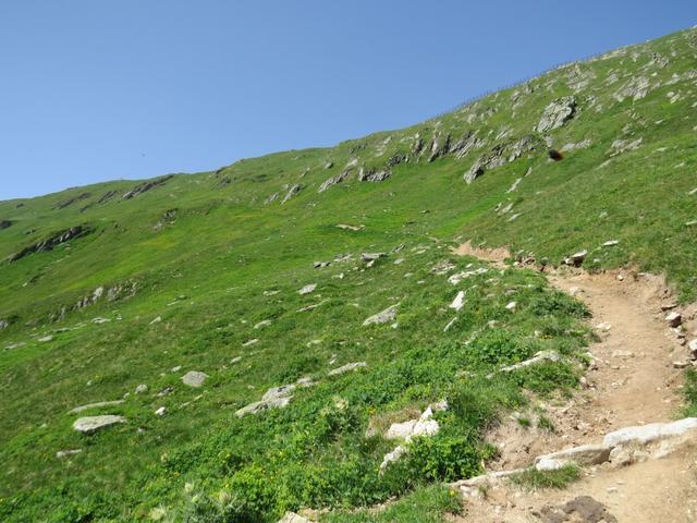 über einen Zickzack Bergweg, gewinnen wir weiter an Höhe